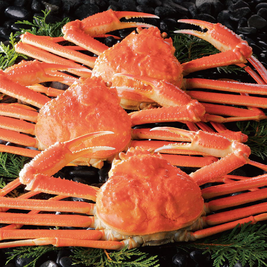 キョクイチ 北海道加工 ロシア産 ずわいがに 中3尾 セイコーマート公式通販 キョクイチ 北海道加工 ロシア産 ずわいがに 中3尾 セイコーマート公式通販