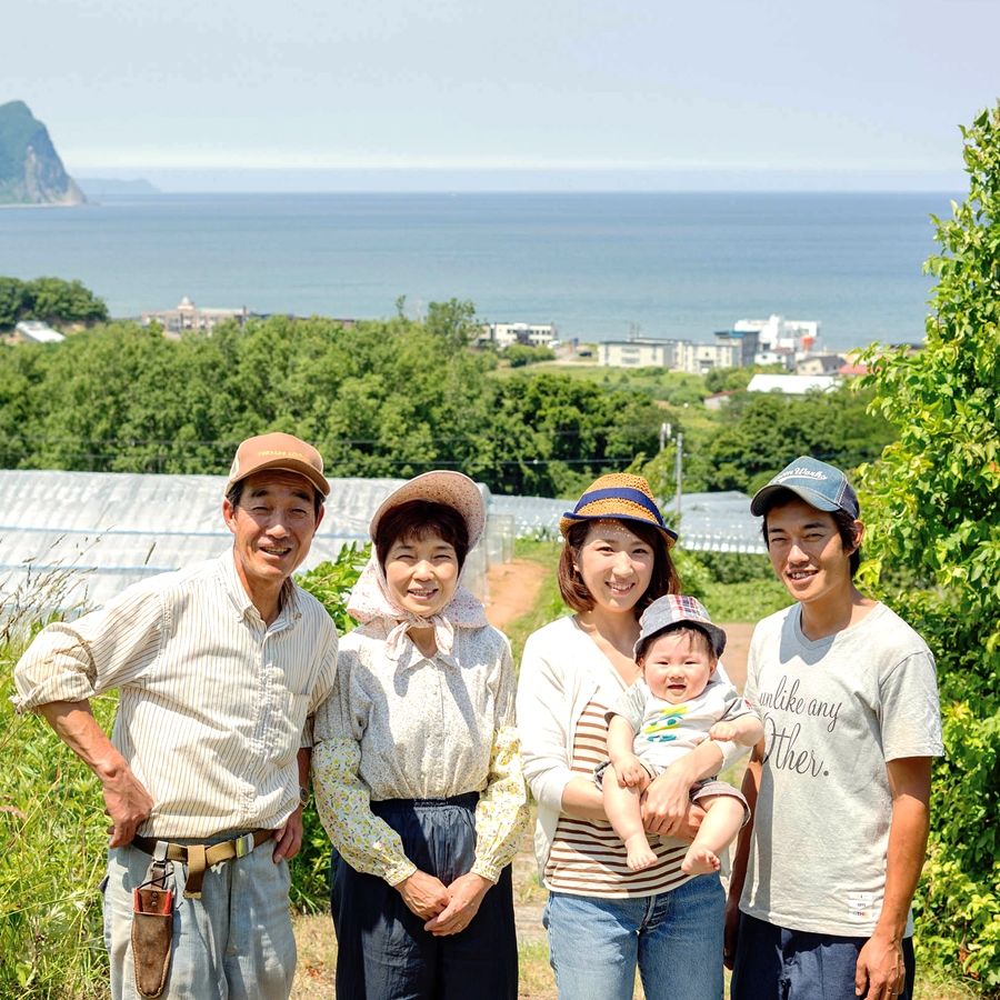 Secoma 北海道余市町産 完熟トマト酎ハイ 350ml 24本