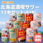 Secoma 北海道満喫サワー12本セット