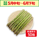【赤井川産】有機栽培　グリーンアスパラ　2L　800g