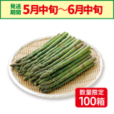 【北海道産】JAるもい　アスパラ　L　1kg