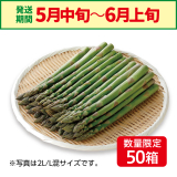 【鹿追産】JA鹿追　アスパラ　2L　1kg