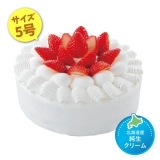 【11/06以降お受取り】いちごデコレーション５号