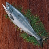 北海道産秋鮭新巻（銀毛）