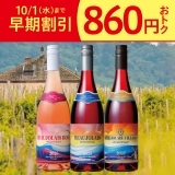 ボージョレ　3本セット2025　早期割引