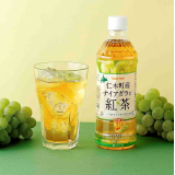 Secoma 仁木町産ナイアガラの紅茶 500ml 24本入