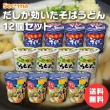 Secoma だしが効いたそばうどん12個セット