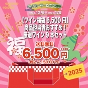 【ワイン福袋6,500円】商品担当者おすすめ！厳選ワイン9本セット