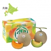 らいでんメロン 赤肉青肉セット 優品 約1.6kg 各1玉