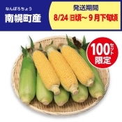 南幌町産　あまいんです　8本