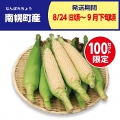 南幌町産　ピュアホワイト　8本