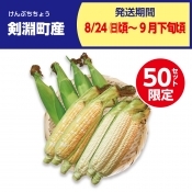 剣淵町産　ドルチェドリーム・ロイシーセット　各5本
