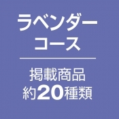 ラベンダー コース