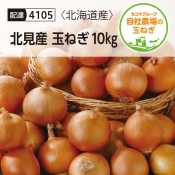 北見産　玉ねぎ10kg