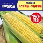 JA東神楽　ゴールドラッシュ　13本