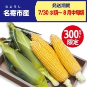 虹色ファーム　ほしつぶコーン　10本