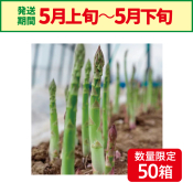 自然農園　アスパラ　2L　1kg