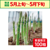 自然農園　アスパラ　L　1kg