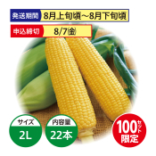 【8月上旬頃～9月下旬頃発送】JAとうや湖 恵味(めぐみ) 22本