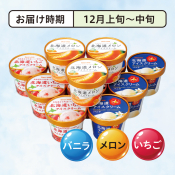 ＜12月お届け＞北海道アイス バニラ･メロン･いちご詰合せ12個
