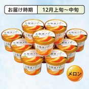 ＜12月お届け＞北海道アイス　北海道メロンアイス12個