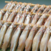 北海道産 ししゃもギフト(中オス2串･Mメス2串)