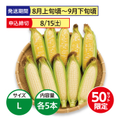 【8月上旬頃～9月下旬頃発送】剣淵町産 ドルチェドリーム・ホイップコーンセット 10本