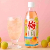 Secoma 梅ソーダ 500ｍｌ 24本入