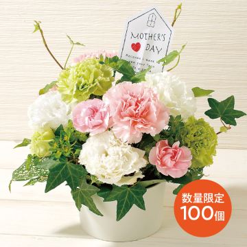 カーネーションの花束 セイコーマート ネット予約 北海道