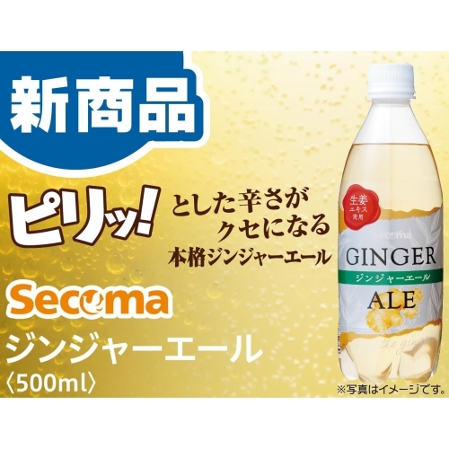 Secoma ジンジャーエール500ml 24本入 セイコーマートオンライン