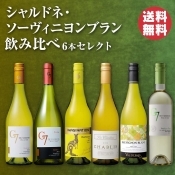 【受賞ワイン3本入り】シャルドネ・ソーヴィニヨンブラン飲み比べ6本セレクト
